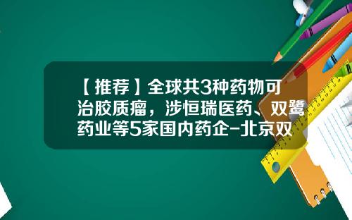 【推荐】全球共3种药物可治胶质瘤，涉恒瑞医药、双鹭药业等5家国内药企-北京双鹭制药有限公司