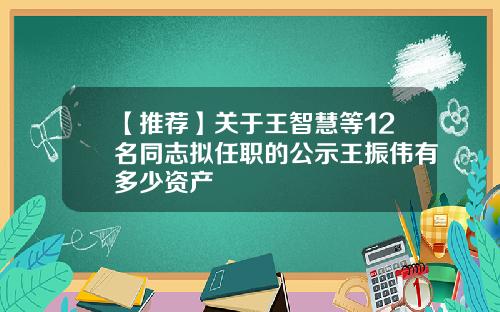 【推荐】关于王智慧等12名同志拟任职的公示王振伟有多少资产