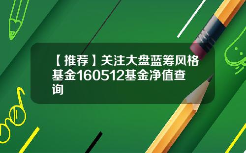 【推荐】关注大盘蓝筹风格基金160512基金净值查询