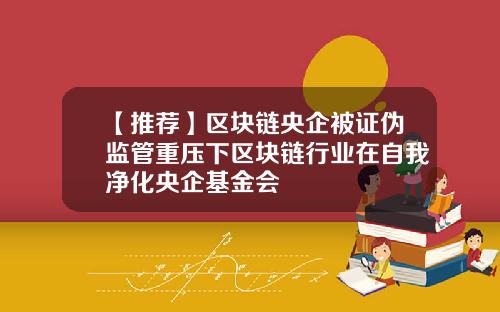 【推荐】区块链央企被证伪监管重压下区块链行业在自我净化央企基金会