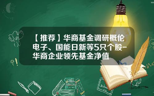 【推荐】华商基金调研概伦电子、国能日新等5只个股-华商企业领先基金净值