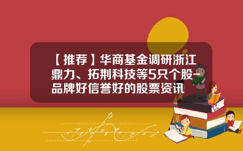 【推荐】华商基金调研浙江鼎力、拓荆科技等5只个股-品牌好信誉好的股票资讯