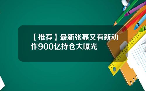 【推荐】最新张磊又有新动作900亿持仓大曝光