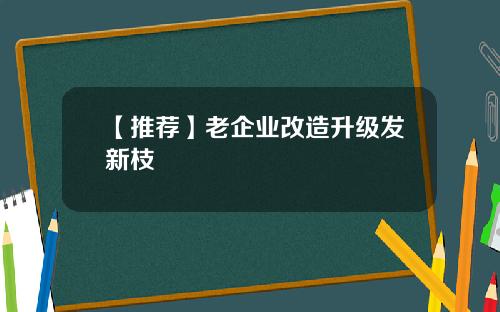 【推荐】老企业改造升级发新枝