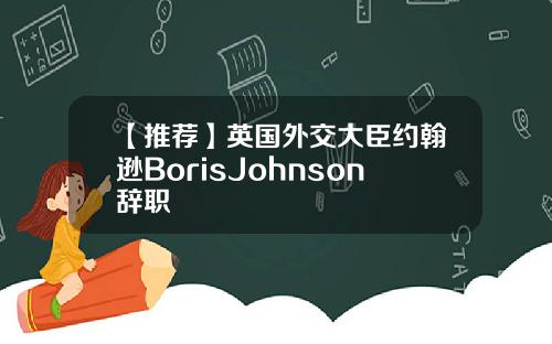 【推荐】英国外交大臣约翰逊BorisJohnson辞职