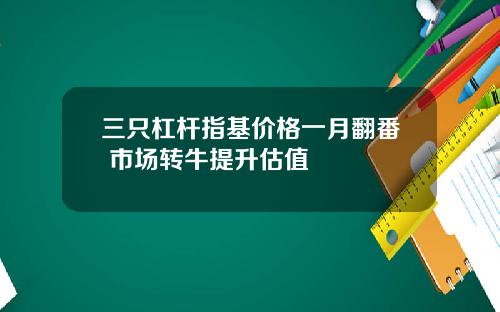 三只杠杆指基价格一月翻番 市场转牛提升估值