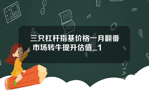 三只杠杆指基价格一月翻番 市场转牛提升估值_1