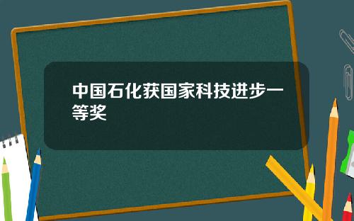 中国石化获国家科技进步一等奖