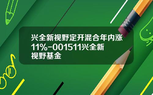 兴全新视野定开混合年内涨11%-001511兴全新视野基金