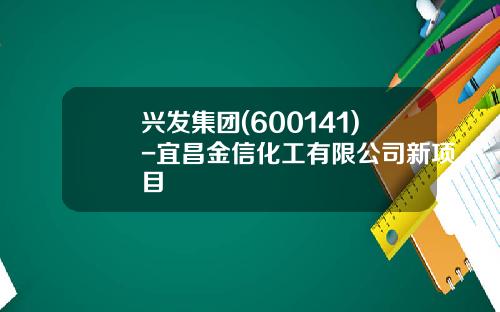 兴发集团(600141)-宜昌金信化工有限公司新项目