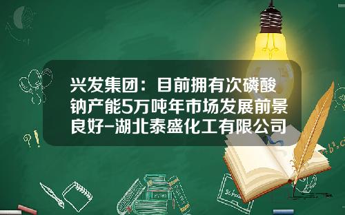 兴发集团：目前拥有次磷酸钠产能5万吨年市场发展前景良好-湖北泰盛化工有限公司