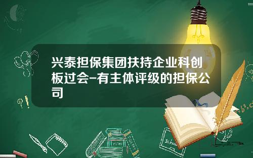 兴泰担保集团扶持企业科创板过会-有主体评级的担保公司