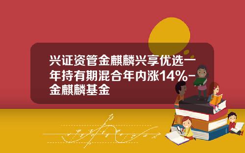 兴证资管金麒麟兴享优选一年持有期混合年内涨14%-金麒麟基金