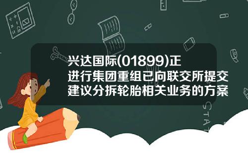兴达国际(01899)正进行集团重组已向联交所提交建议分拆轮胎相关业务的方案-兴达国际控股有限公司