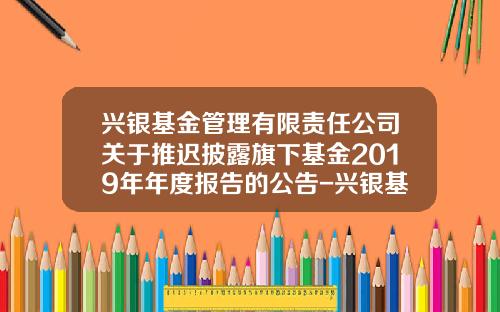 兴银基金管理有限责任公司关于推迟披露旗下基金2019年年度报告的公告-兴银基金官网