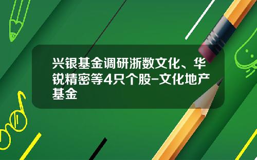 兴银基金调研浙数文化、华锐精密等4只个股-文化地产基金
