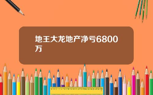 地王大龙地产净亏6800万