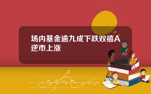 场内基金逾九成下跌双禧A逆市上涨