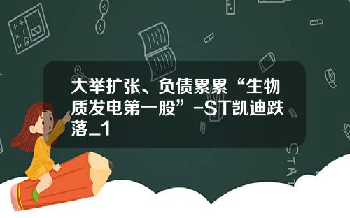 大举扩张、负债累累“生物质发电第一股”-ST凯迪跌落_1