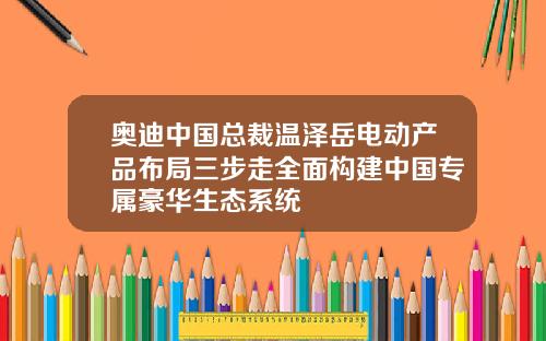 奥迪中国总裁温泽岳电动产品布局三步走全面构建中国专属豪华生态系统