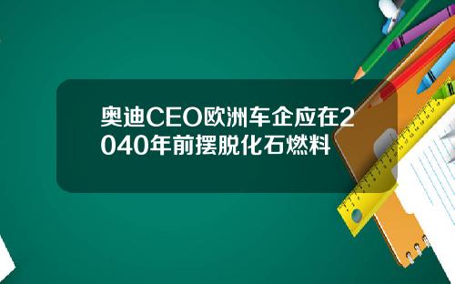 奥迪CEO欧洲车企应在2040年前摆脱化石燃料