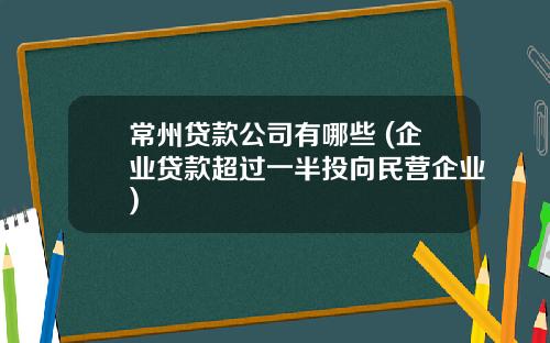 常州贷款公司有哪些 (企业贷款超过一半投向民营企业)