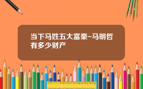 当下马姓五大富豪-马明哲有多少财产