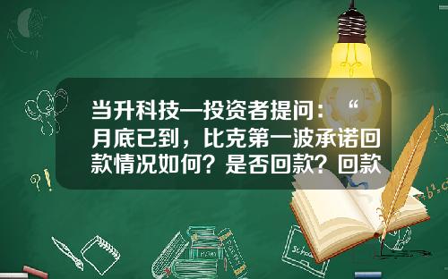 当升科技—投资者提问：“月底已到，比克第一波承诺回款情况如何？是否回款？回款多少？”-当升科技能到多少