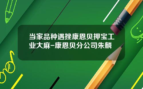 当家品种遇挫康恩贝押宝工业大麻-康恩贝分公司朱麟