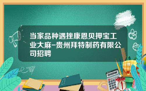 当家品种遇挫康恩贝押宝工业大麻-贵州拜特制药有限公司招聘