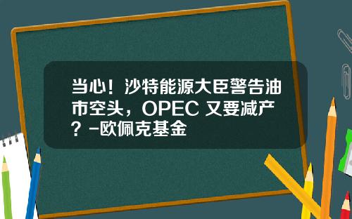 当心！沙特能源大臣警告油市空头，OPEC+又要减产？-欧佩克基金