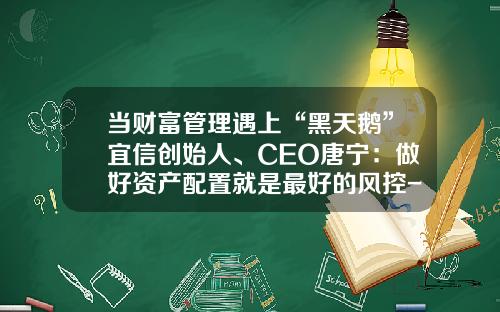 当财富管理遇上“黑天鹅”宜信创始人、CEO唐宁：做好资产配置就是最好的风控-宜信财富管理有限公司