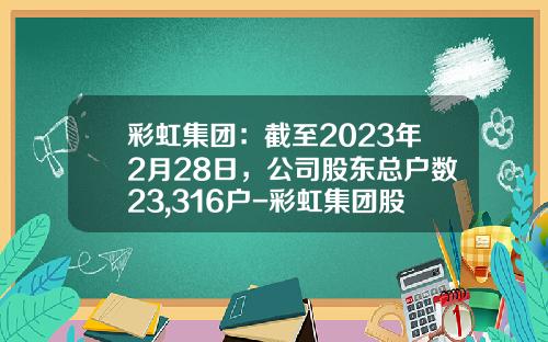 彩虹集团：截至2023年2月28日，公司股东总户数23,316户-彩虹集团股份有限公司