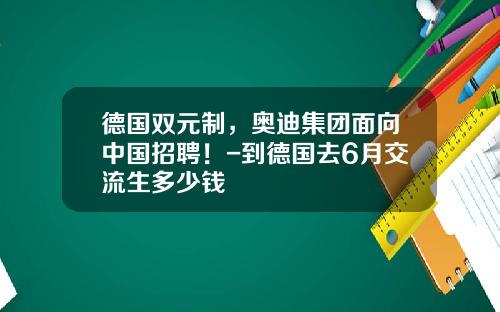 德国双元制，奥迪集团面向中国招聘！-到德国去6月交流生多少钱
