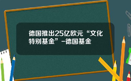 德国推出25亿欧元“文化特别基金”-德国基金