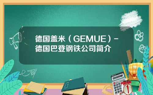 德国盖米（GEMUE）-德国巴登钢铁公司简介
