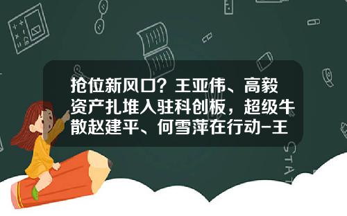 抢位新风口？王亚伟、高毅资产扎堆入驻科创板，超级牛散赵建平、何雪萍在行动-王亚伟有多少资产
