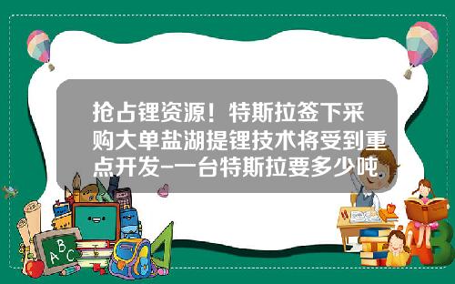 抢占锂资源！特斯拉签下采购大单盐湖提锂技术将受到重点开发-一台特斯拉要多少吨锂矿