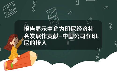 报告显示中企为印尼经济社会发展作贡献-中国公司在印尼的投入