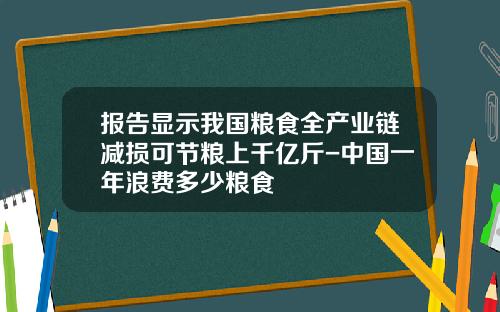 报告显示我国粮食全产业链减损可节粮上千亿斤-中国一年浪费多少粮食