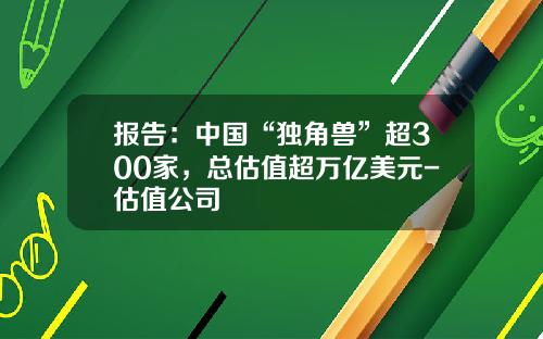 报告：中国“独角兽”超300家，总估值超万亿美元-估值公司