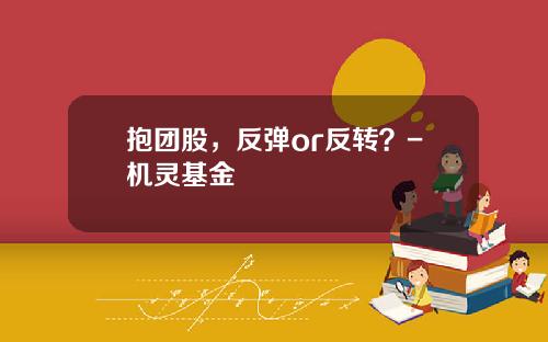 抱团股，反弹or反转？-机灵基金