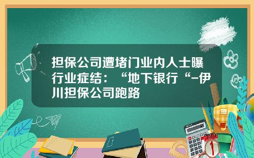 担保公司遭堵门业内人士曝行业症结：“地下银行“-伊川担保公司跑路