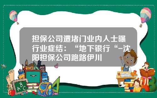 担保公司遭堵门业内人士曝行业症结：“地下银行“-沈阳担保公司跑路伊川