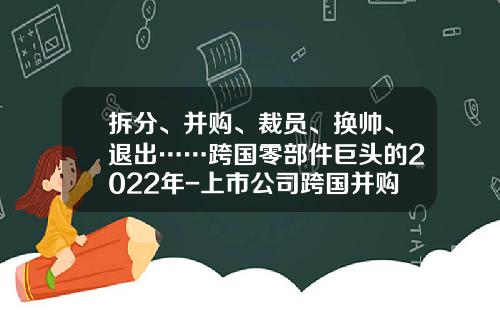 拆分、并购、裁员、换帅、退出……跨国零部件巨头的2022年-上市公司跨国并购