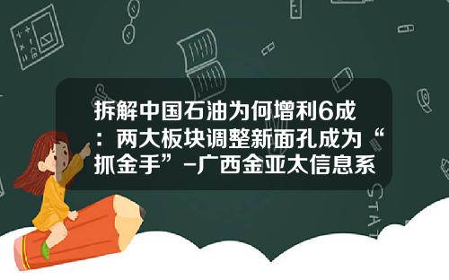 拆解中国石油为何增利6成：两大板块调整新面孔成为“抓金手”-广西金亚太信息系统有限责任公司