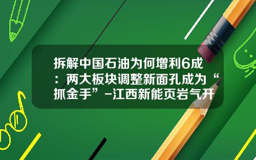 拆解中国石油为何增利6成：两大板块调整新面孔成为“抓金手”-江西新能页岩气开发有限公司