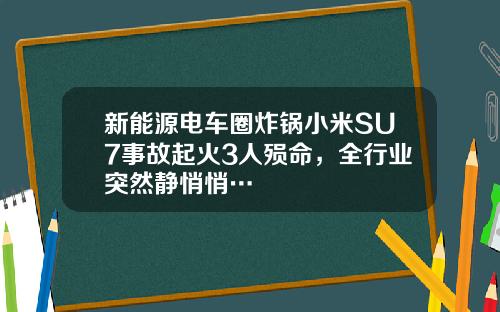 新能源电车圈炸锅小米SU7事故起火3人殒命，全行业突然静悄悄…