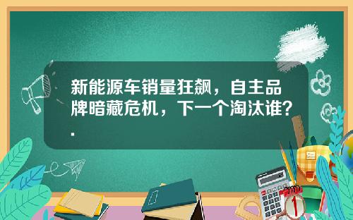 新能源车销量狂飙，自主品牌暗藏危机，下一个淘汰谁？.