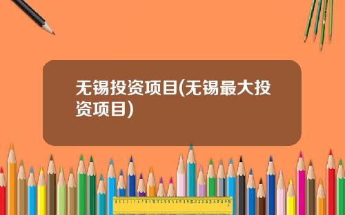 无锡投资项目(无锡最大投资项目)